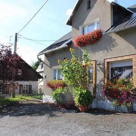 Ferienwohnung Am Muehlbach Klingenthal Exteriör bild