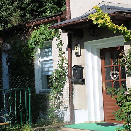 Ferienwohnung Am Muehlbach Klingenthal Exteriör bild