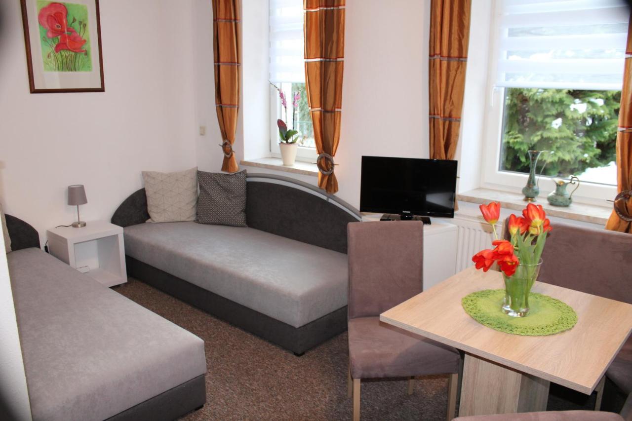 Ferienwohnung Am Muehlbach Klingenthal Exteriör bild