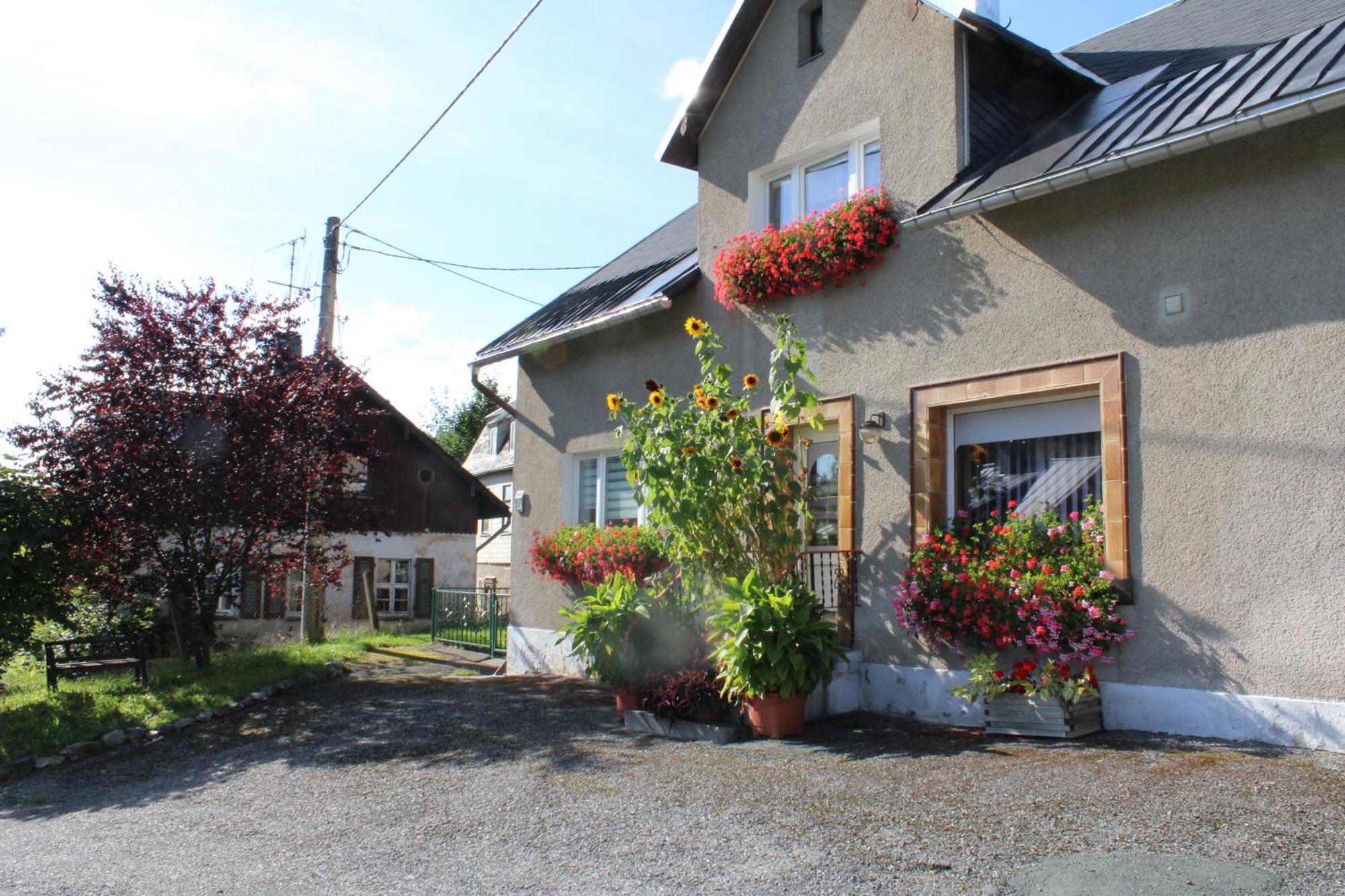 Ferienwohnung Am Muehlbach Klingenthal Exteriör bild