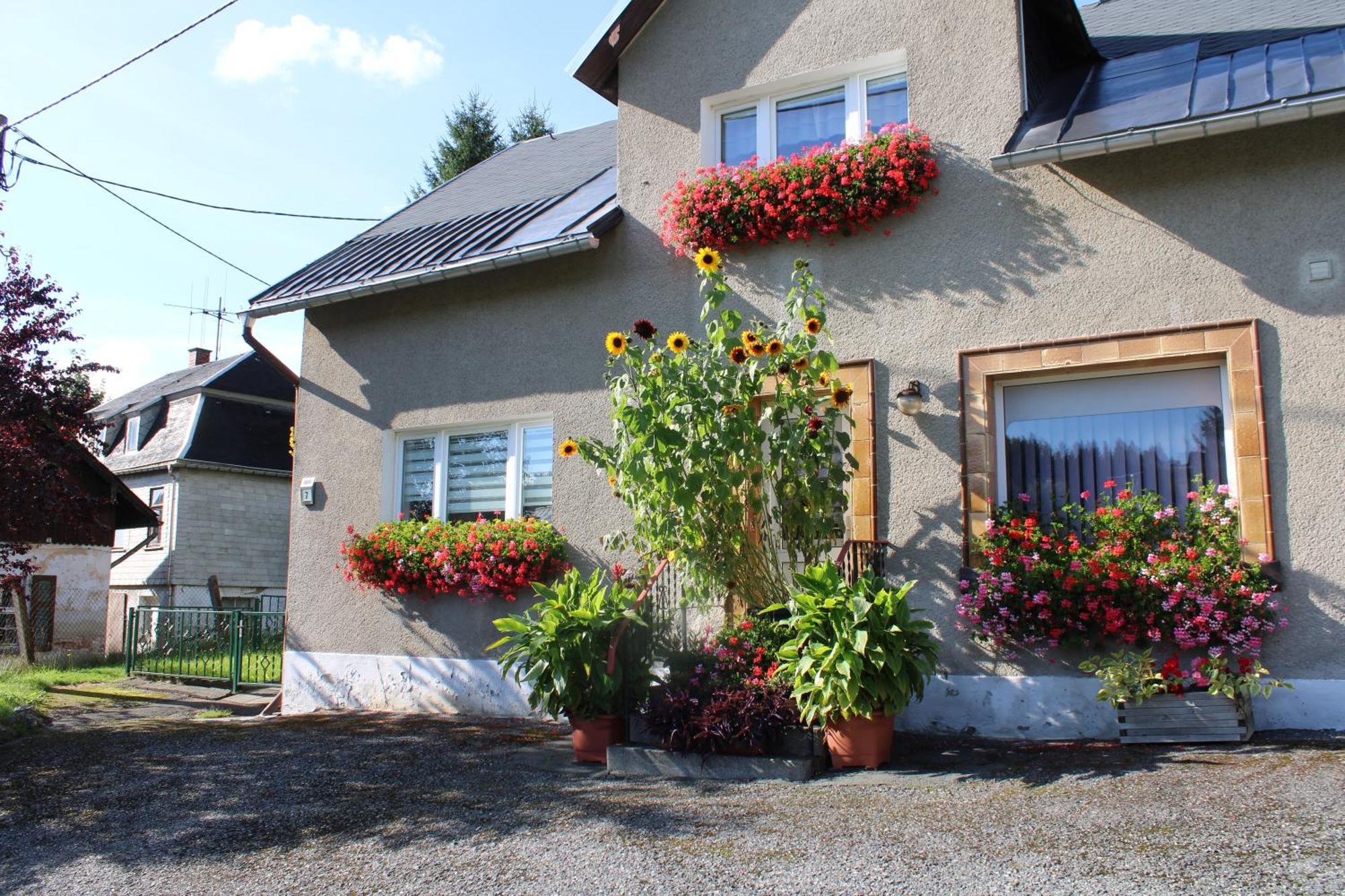 Ferienwohnung Am Muehlbach Klingenthal Exteriör bild